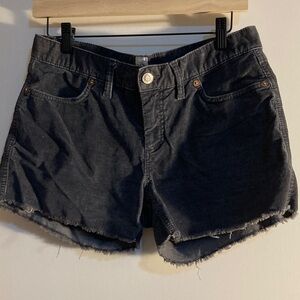 GAP Dark Gray Jean Shorts